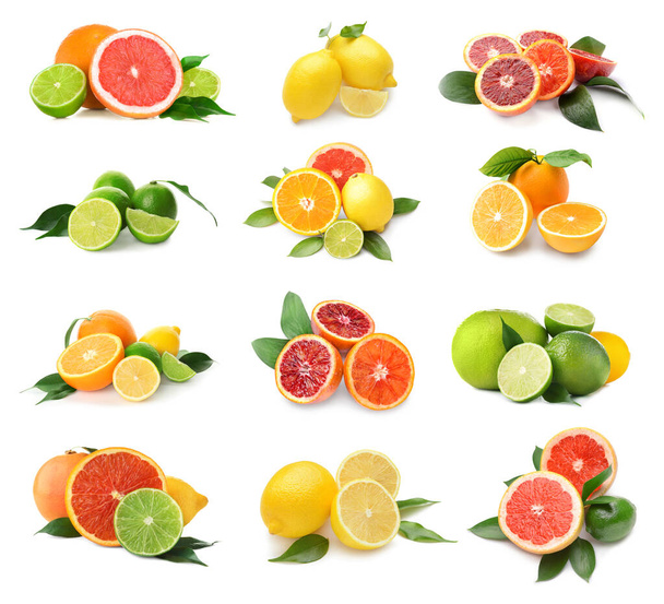 Różnych smacznych owoców cytrusowych na białym tle - Zdjęcie, obraz