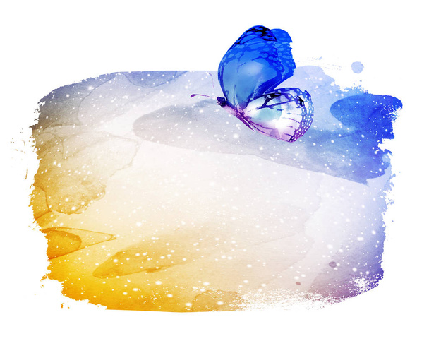 Watercolor background with butterfly on white - Photo, Image