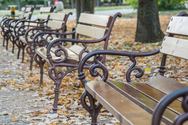 公園、昼間、秋の季節、選択的な焦点、庭の地面に落ちた葉の束の木のベンチで金属ハンドル - 写真・画像