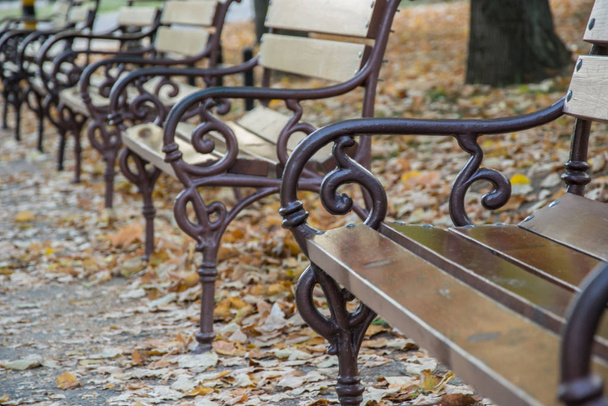 Metal handle on wooden benches in the park, daytime, autumn season, selective focus, bunch of fallen leaves on the ground in a garden - Photo, Image
