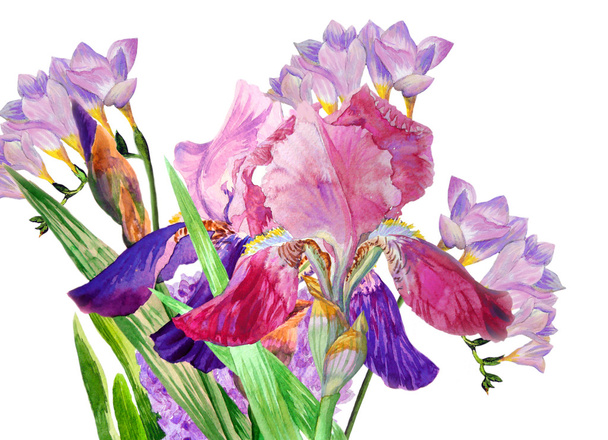 Claret iris and fresia - Фото, изображение