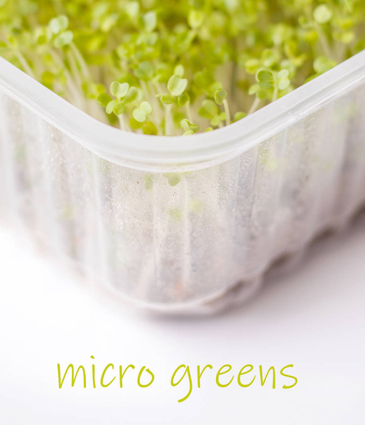 Micro greens en envases de polipropileno recargables. Brotes verdes ensalada de berros y ruccola en una alfombra de lino. De cosecha propia
 - Foto, Imagen