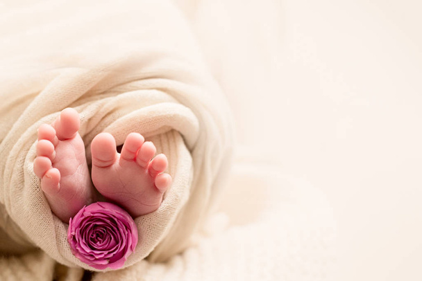 Szczęśliwego Dnia Matki. stopy noworodka z różowym kwiatem róży - Zdjęcie, obraz
