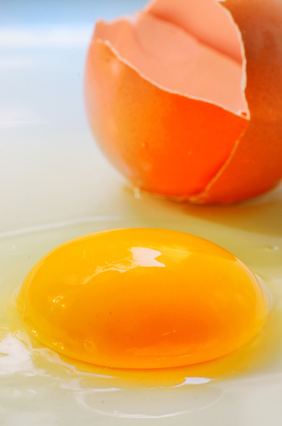 rozbité vajíčko, samostatný - Fotografie, Obrázek