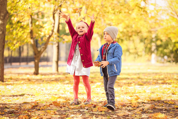 Roztomilé malé děti baví na podzim park - Fotografie, Obrázek