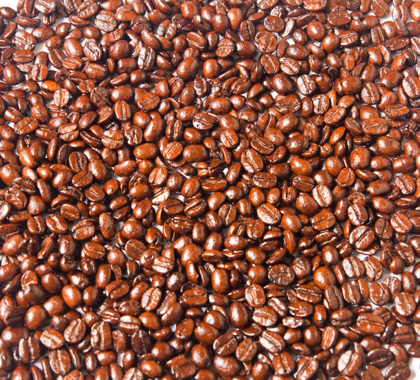 Много коричневых кофейных зерен для фона
 - Фото, изображение