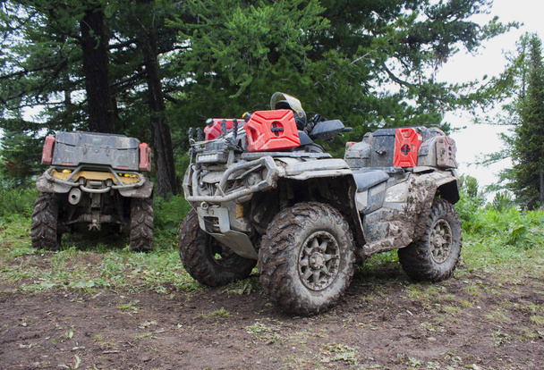Velké špinavé ATV stojí v jehličnatém lese. Letní den - Fotografie, Obrázek