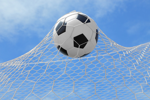 Bola de futebol atira para gol em vista de formiga
 - Foto, Imagem