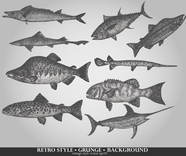 Set of sea fishes. Retro style vector illustration - Vector, Image