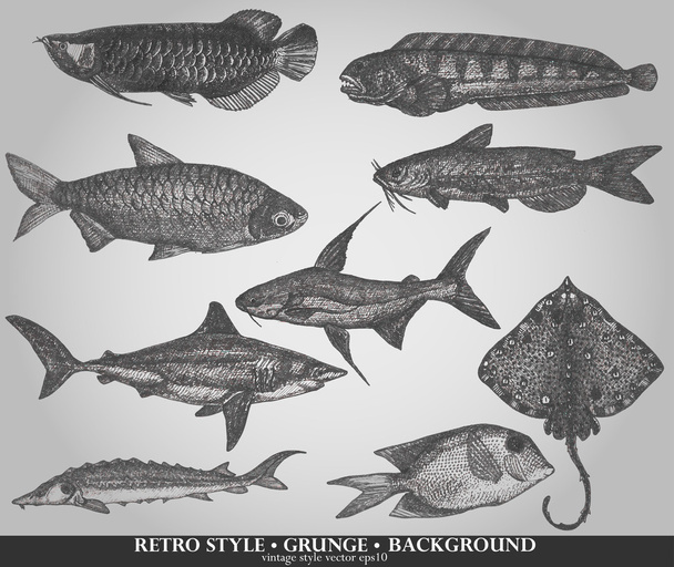 Set of sea fishes. Retro style vector illustration - Vector, Image