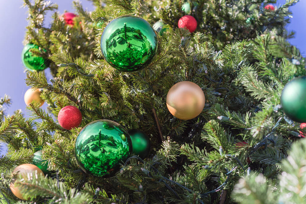 Adorno de bola verde colgando en las ramas de pino de Navidad en el primer plano de luz diurna
 - Foto, imagen