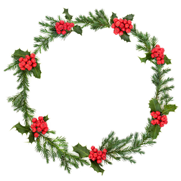 Christmas Holly and Juniper Wreath  - Photo, image