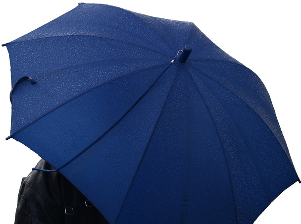 Isolated umbrella - Foto, immagini