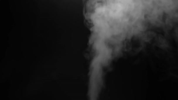 Un primer plano de humo de vapor blanco se disparó sobre un fondo negro. Concepto de telón de fondo abstracto
. - Metraje, vídeo