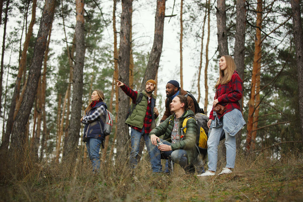 Group of friends on a camping or hiking trip in autumn day - Foto, Imagem