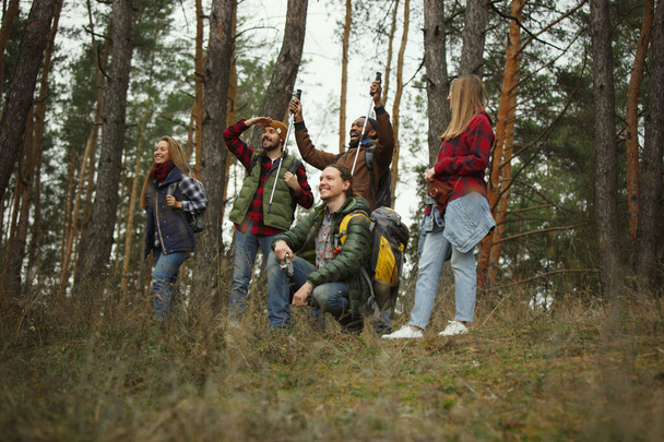 Group of friends on a camping or hiking trip in autumn day - Photo, Image