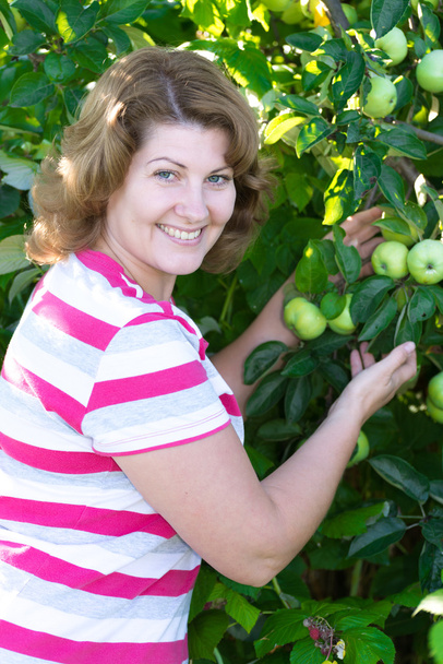 The woman in the apple orchard - Photo, Image