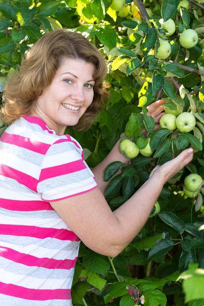 The woman in the apple orchard - Foto, imagen