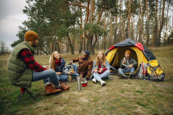 Group of friends on a camping or hiking trip in autumn day - Foto, imagen