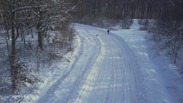Aerial view of the romantic road passing through the snow-covered winter forest. A view down to the tops of the forest and road in winter time. - Footage, Video