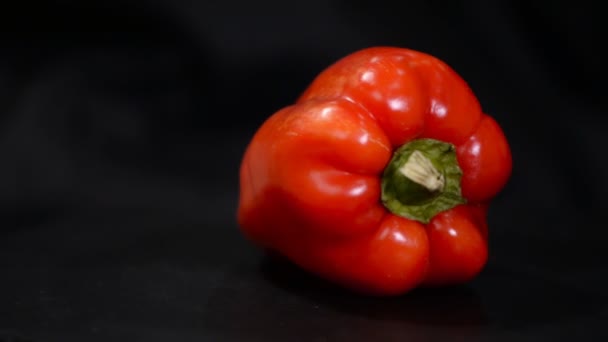 Pimenta búlgara vermelha suculenta em um fundo preto, vegetal natural, close-up
 - Filmagem, Vídeo