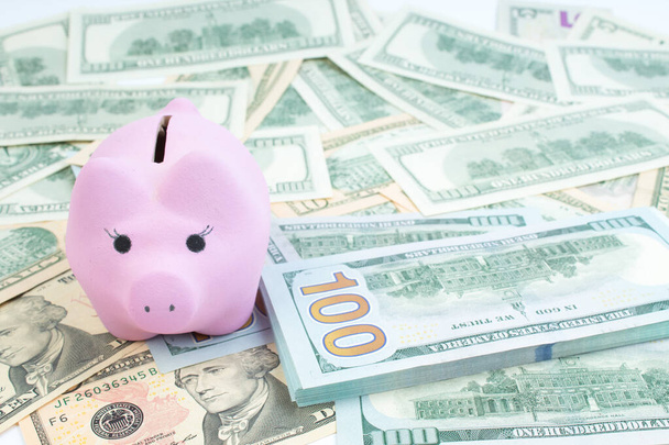 Pink piggy bank, dollars on a white background. savings concept, fundraising. - Valokuva, kuva