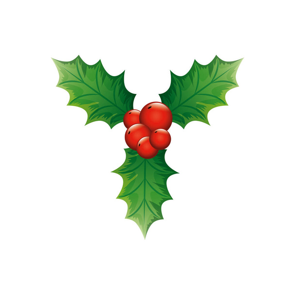 листя з прикрасою насіння Різдвяна ізольована ікона
 - Вектор, зображення