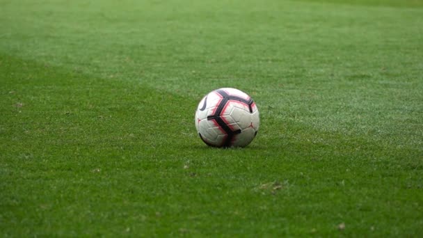 Detailní záběr Fotbalista kopne míč, Zpomalený pohyb - Záběry, video