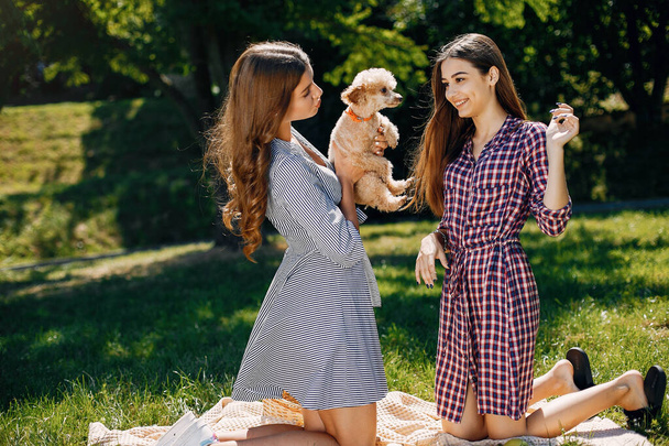 Elegant and stylish girls in a spring park - Photo, image