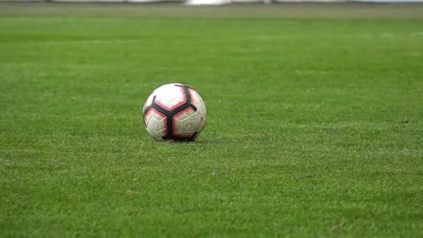 Soccer, Soccer player kicks the ball, Slow motion - 映像、動画