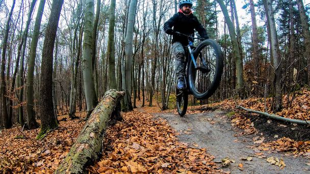 秋の公園の自転車に乗るアマチュアライダー - 写真・画像
