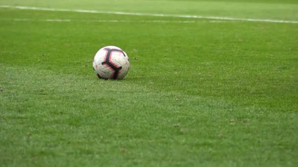 Close-up Soccer player kicks the ball, Slow motion - 映像、動画