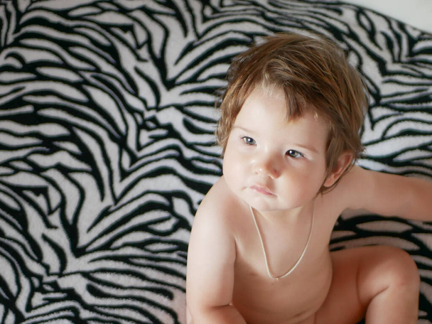 Vista superior do bebê nua. Contra o fundo de uma zebra. cobertor de zebra. Bebê loiro bonito com um tronco nu
 - Foto, Imagem