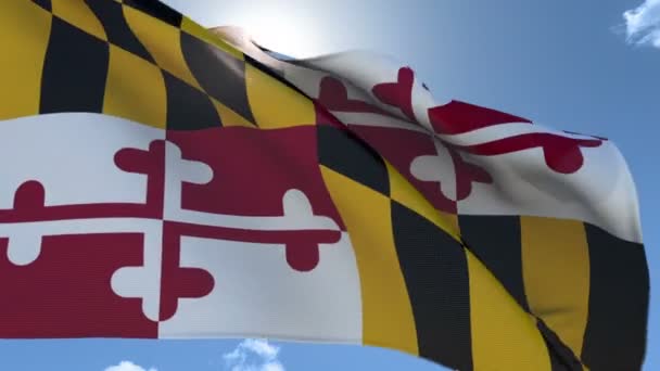 Zászló Maryland integetett a szélben - Felvétel, videó