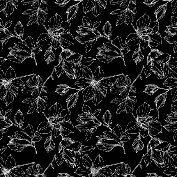 Vektor Magnolia květinové botanické květiny. Černobílý rytý inkoust. Bezproblémové pozadí vzor. - Vektor, obrázek