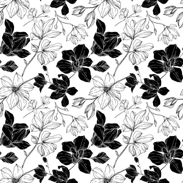 Magnolia vektor virágos botanikai virágok. Fekete-fehér vésett tinta művészet. Zökkenőmentes háttér minta. - Vektor, kép