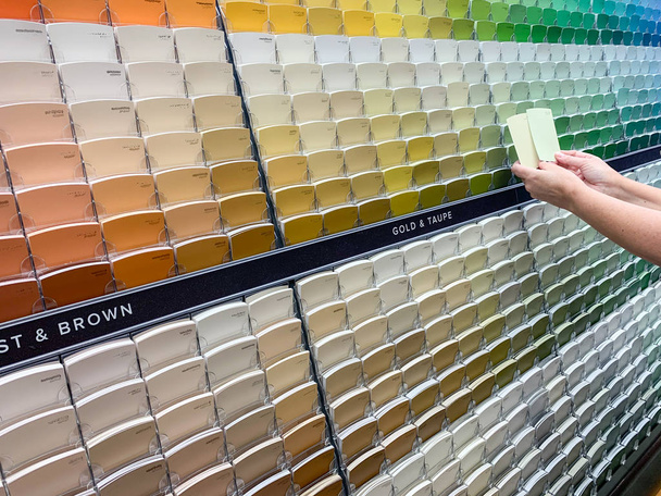 Образцы красок в магазине красок на яркой стойке образцов
 - Фото, изображение
