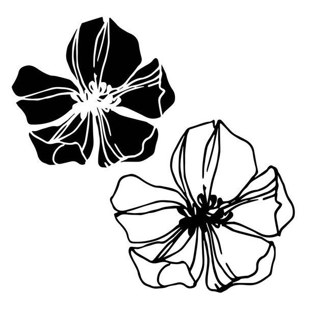Vector strawberry flower. Black and white engraved ink art. Isolated strawberry illustration element. - Vector, Image