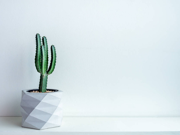 Cactus pot. Betonnen pot. Moderne geometrische betonnen plantenbak. - Foto, afbeelding