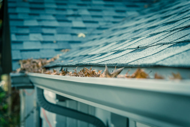 Kurumuş yapraklarla dolu çatı kiremitlerinin yakınındaki sığ Dof oluğu tıkanmış. - Fotoğraf, Görsel