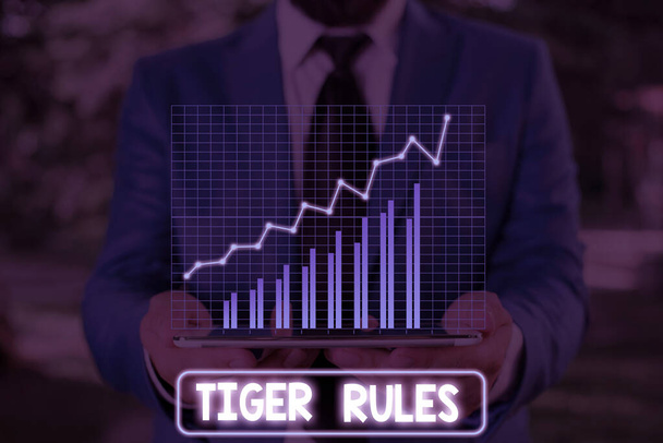 Fogalmi kézírás, amely bemutatja a Tigris szabályokat. Üzleti fotó bemutatása Akaraterő és demonstrációs erő Ellenállás birodalmi uralom. - Fotó, kép