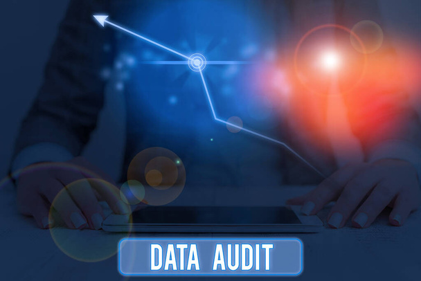 Konceptualny ręczny zapis pokazujący audyt danych. Business photo text auditing of data to assessment its quality for a specific purpose. - Zdjęcie, obraz