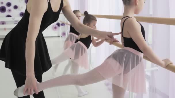 Malé baletky v purpurovém trikotu trénink v barech. - Záběry, video