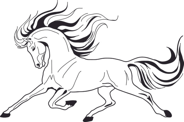 Egy fehér hátterű ló vektorképe - Vektor, kép