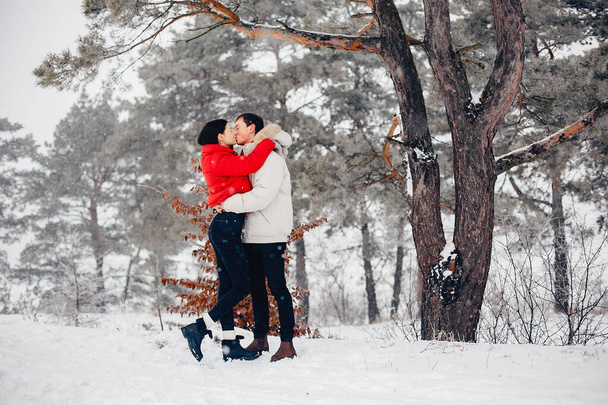 Loving couple walking in a winter park - Foto, Imagem