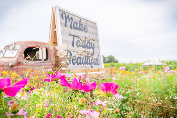 野生の花の隣の花畑でアンティークトラクタートレーラー写真の小道具は、「今日を美しくする." - 写真・画像