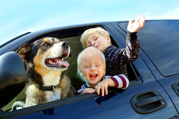 Happy Children and Dog in Minivan - Foto, Imagem