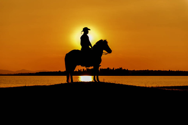 Silhouette Cowboy à cheval
 - Photo, image