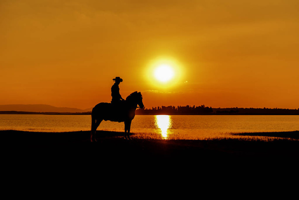 Silhouette Cowboy à cheval
 - Photo, image