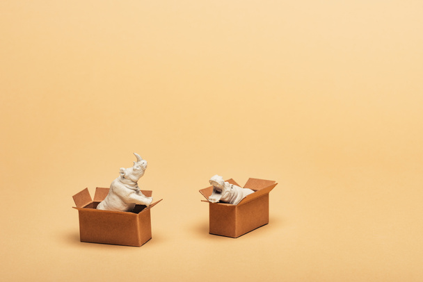 ippopotamo e rinoceronte giocattolo bianco in scatole di cartone su sfondo giallo, concetto di benessere animale
 - Foto, immagini